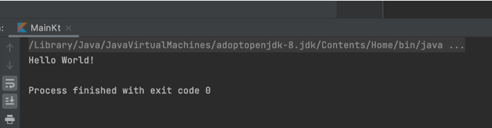 Friday Project Runned From IDE